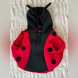 Zara Ladybug Costume 2T